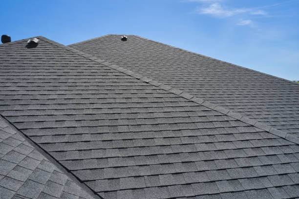 Best Roof Ventilation Installation  in Presquille, LA